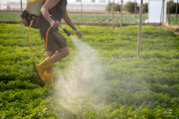 Best Pest Prevention Services  in Kahoka, MO