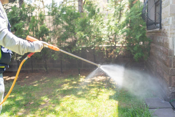 Best Ant Control Services  in Kahoka, MO