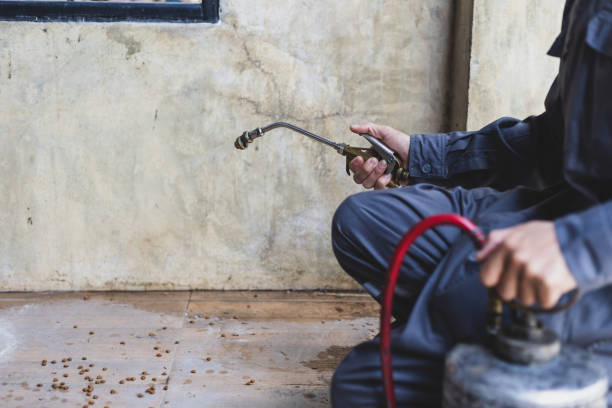 Best Affordable Pest Control Services  in Kahoka, MO