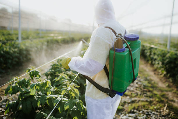 Best Commercial Pest Control Services  in Kahoka, MO